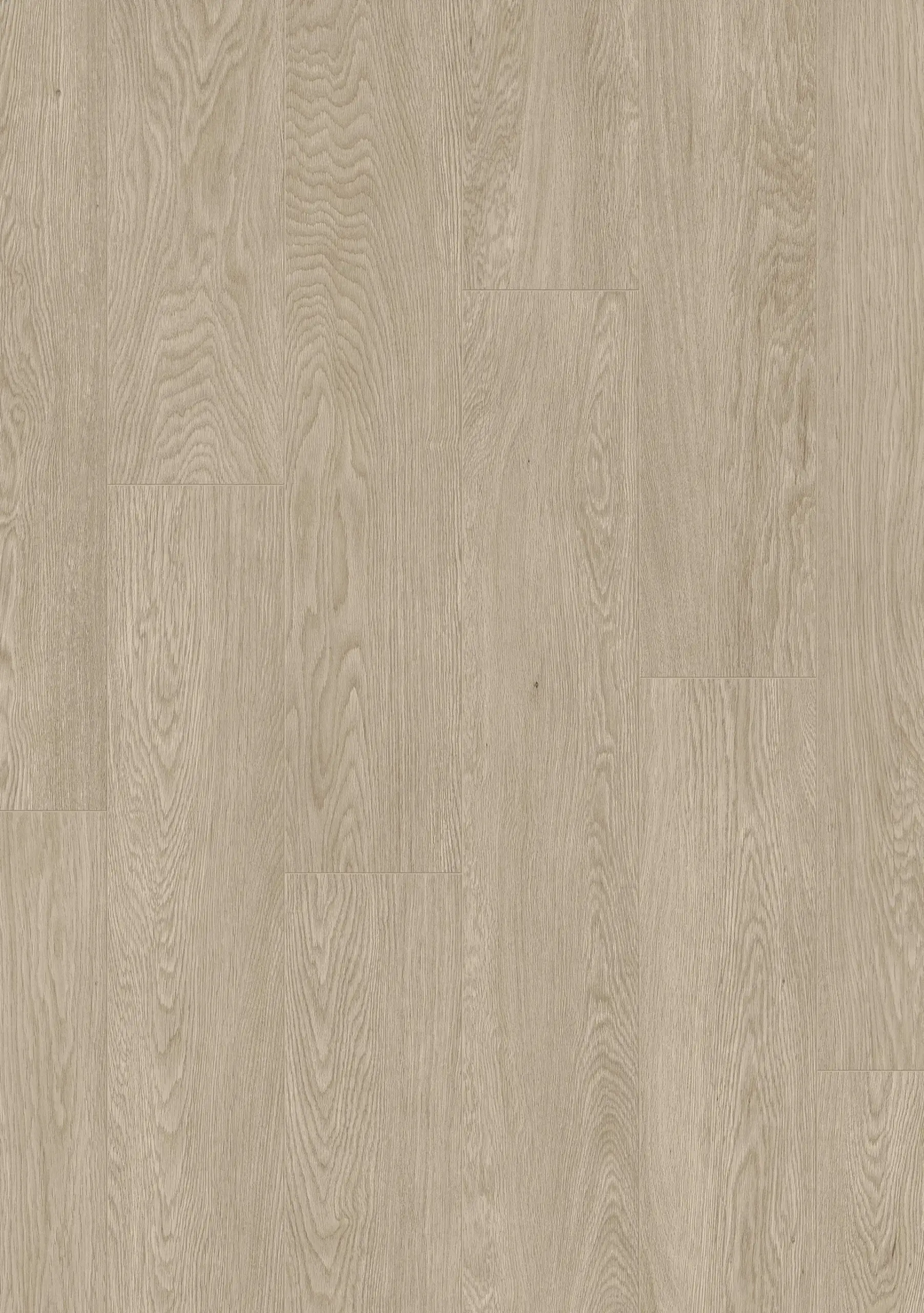 Artic-Oak-NL101