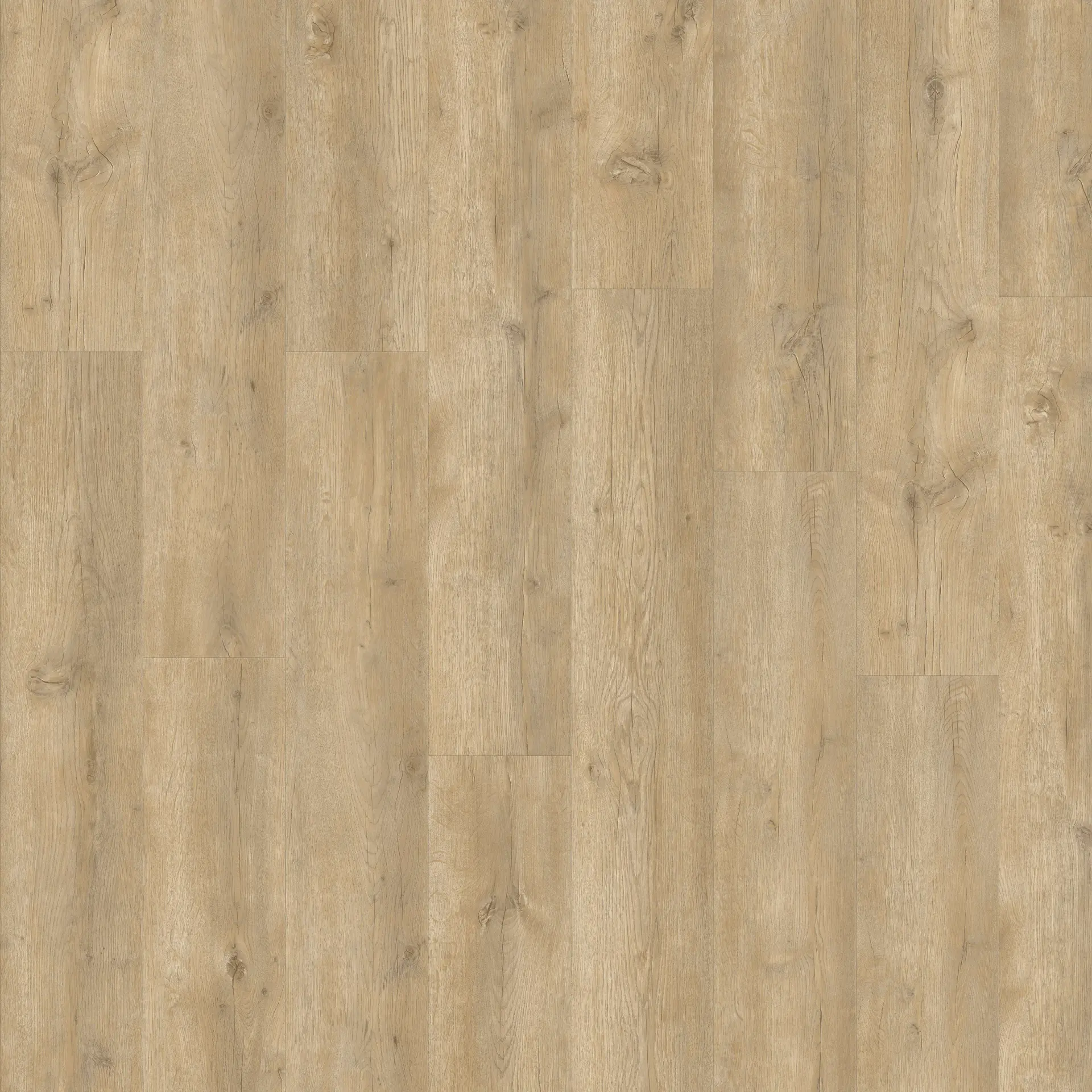 Olive-Oak
