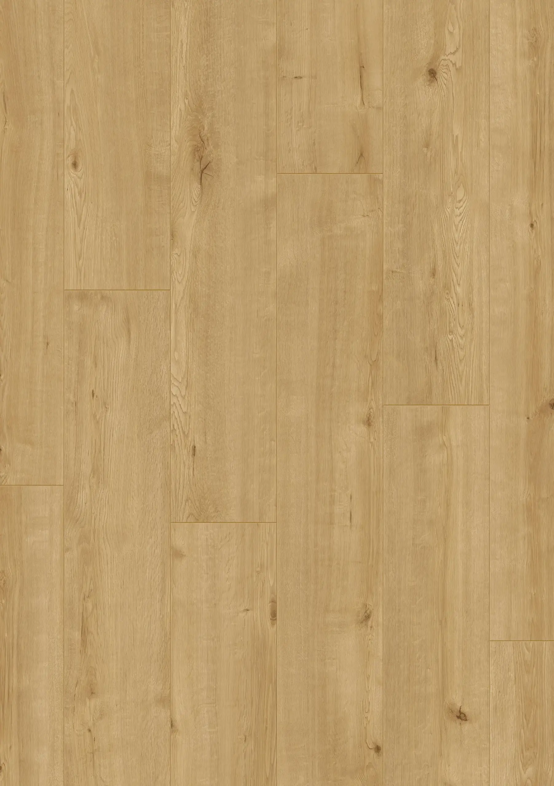 Coastal-Oak-NL105