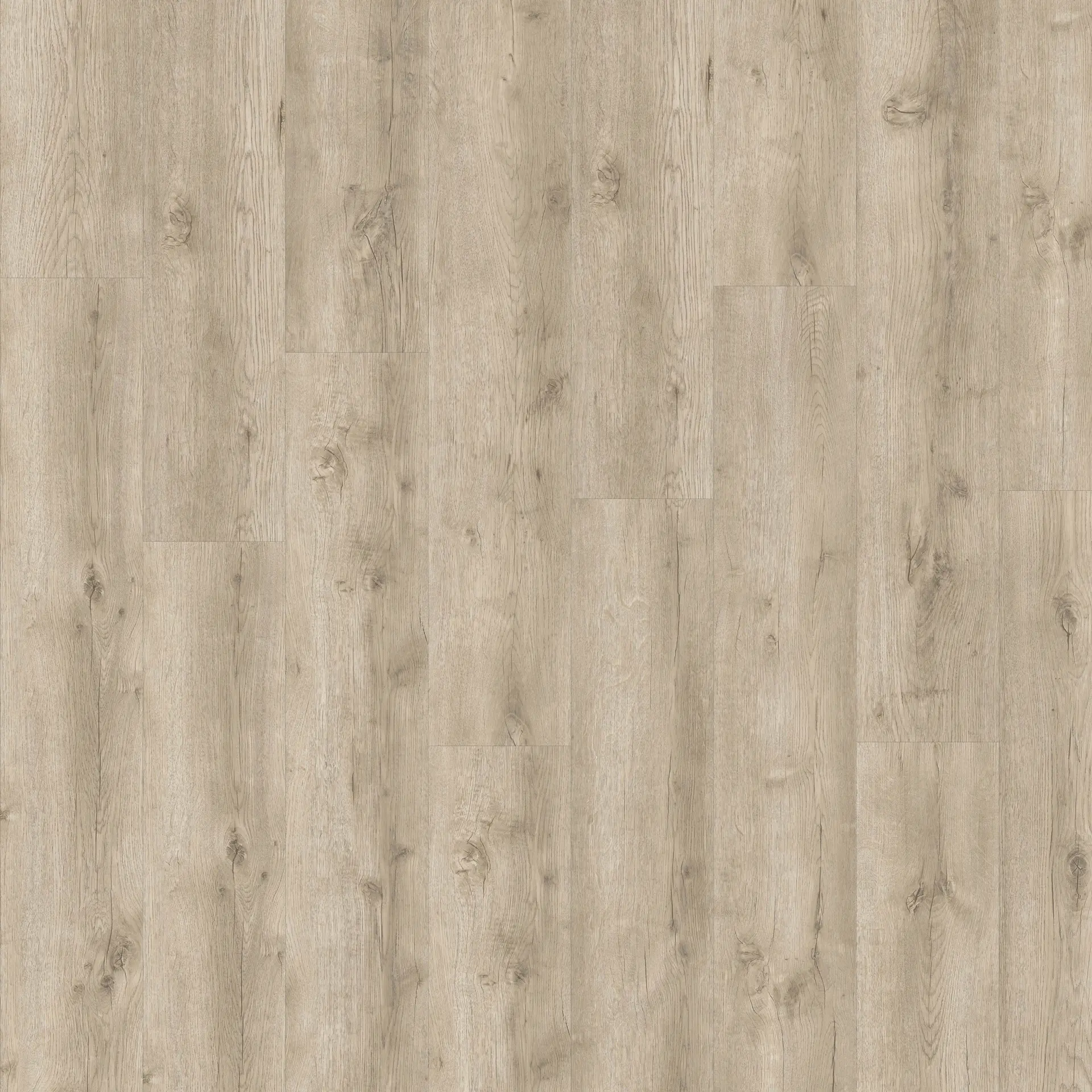 Olive-Oak