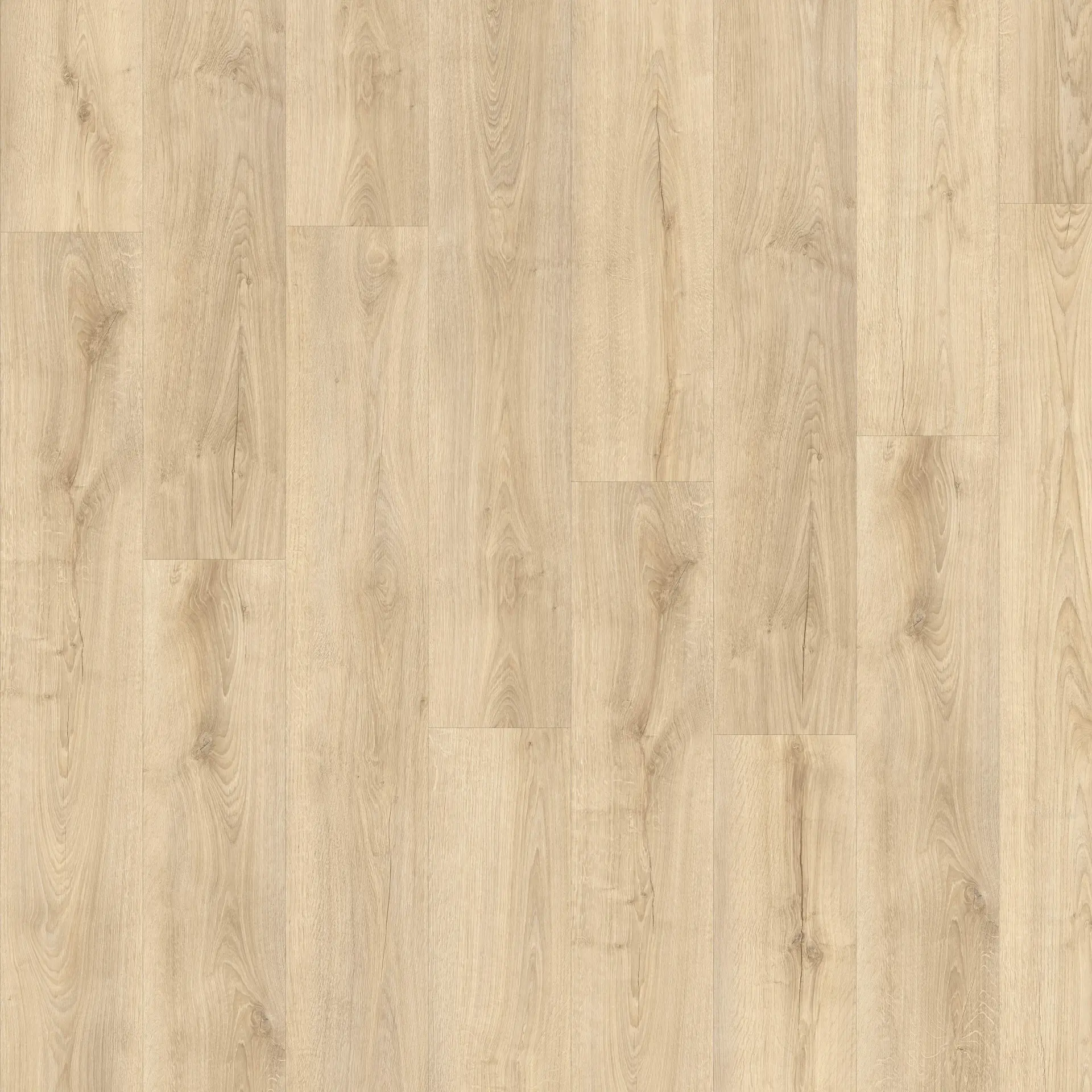 Olive-Oak