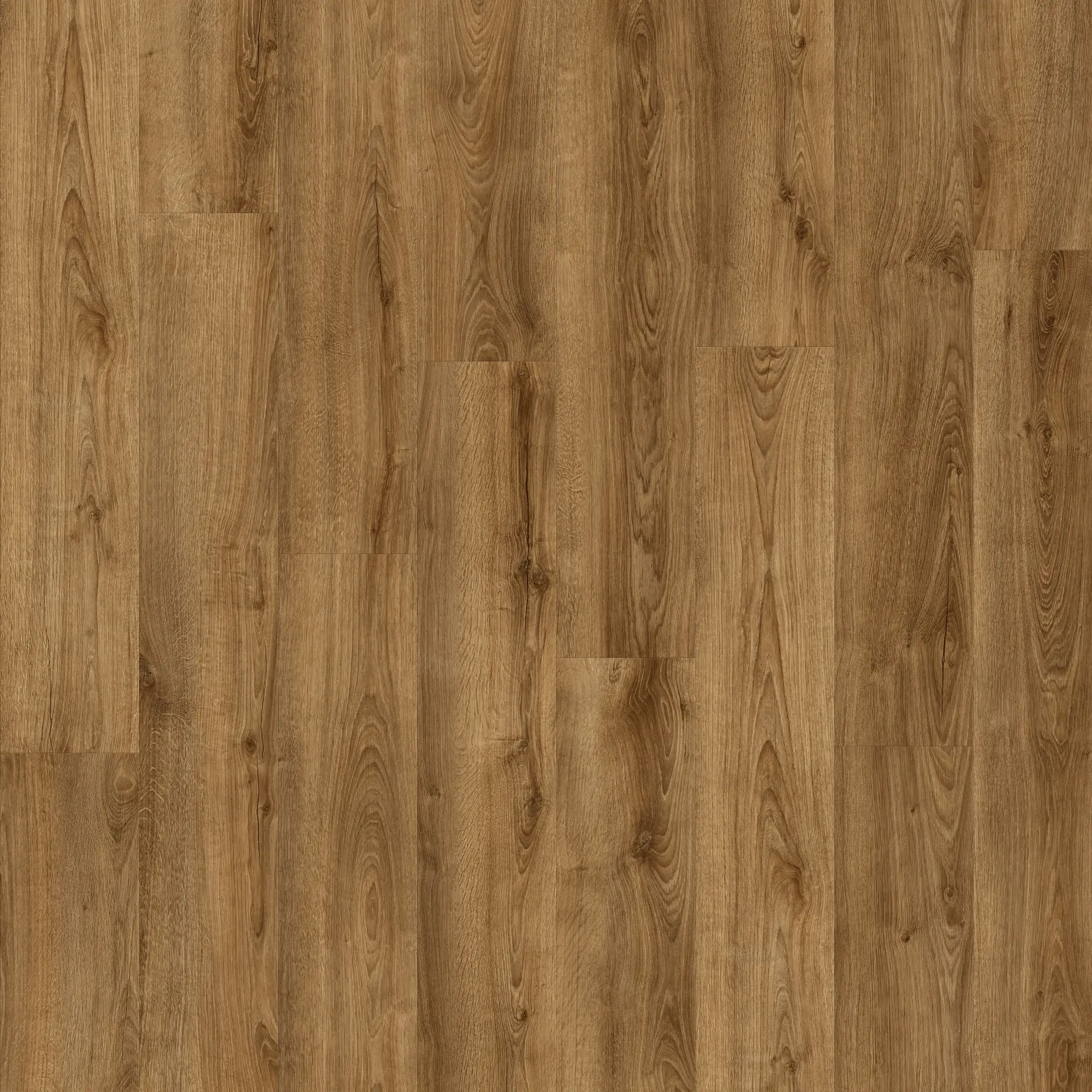 Olive-Oak