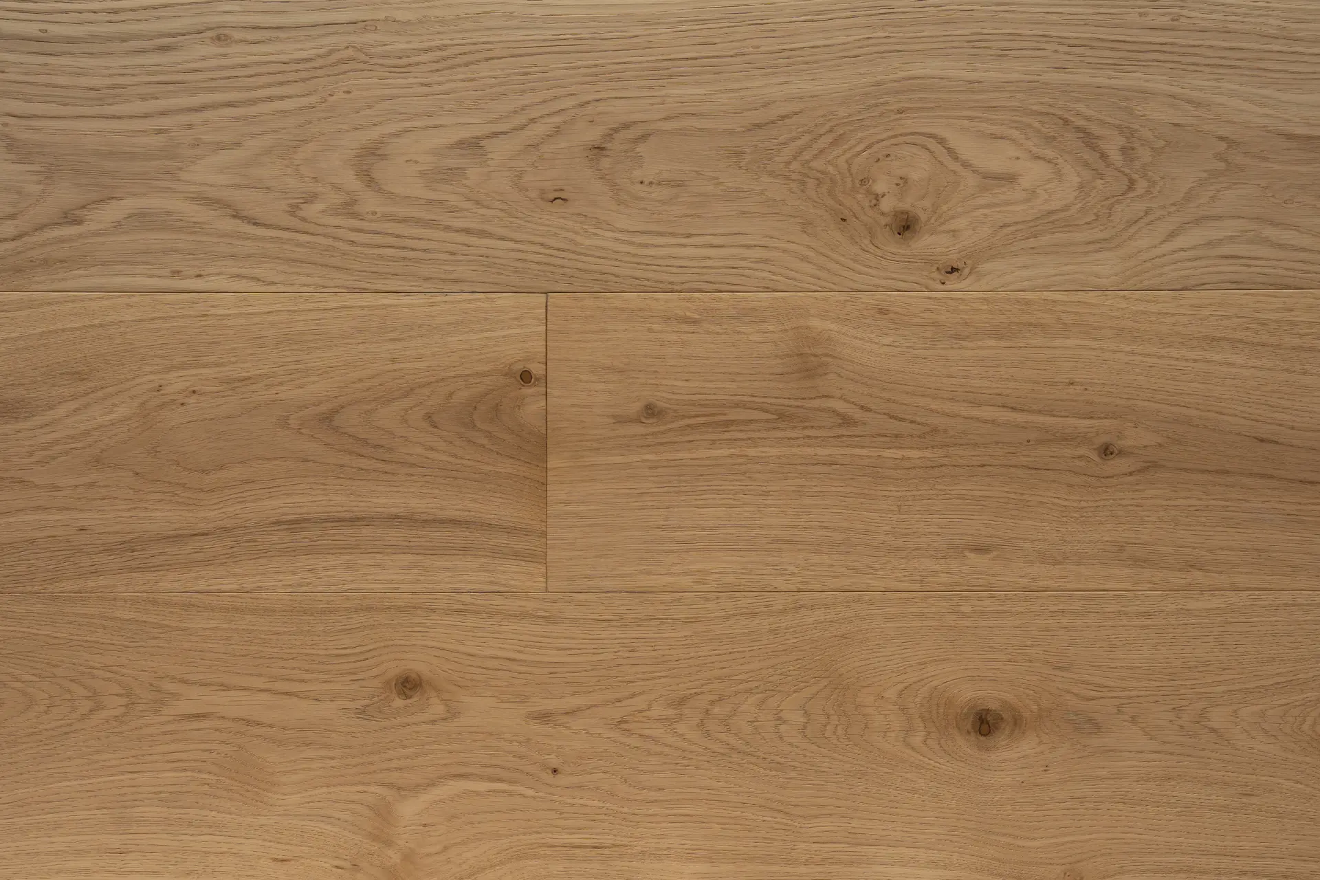 MAX_ProTrade_ENG_OAK