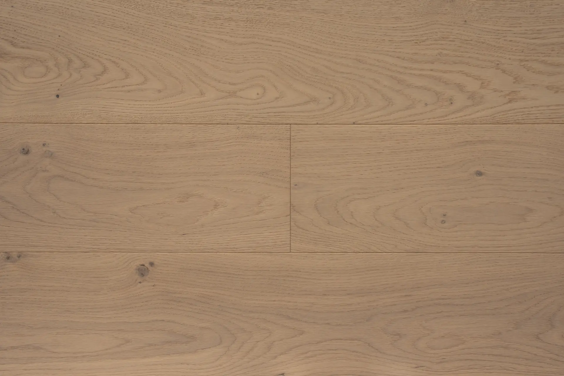MAX_ProTrade_ENG_OAK