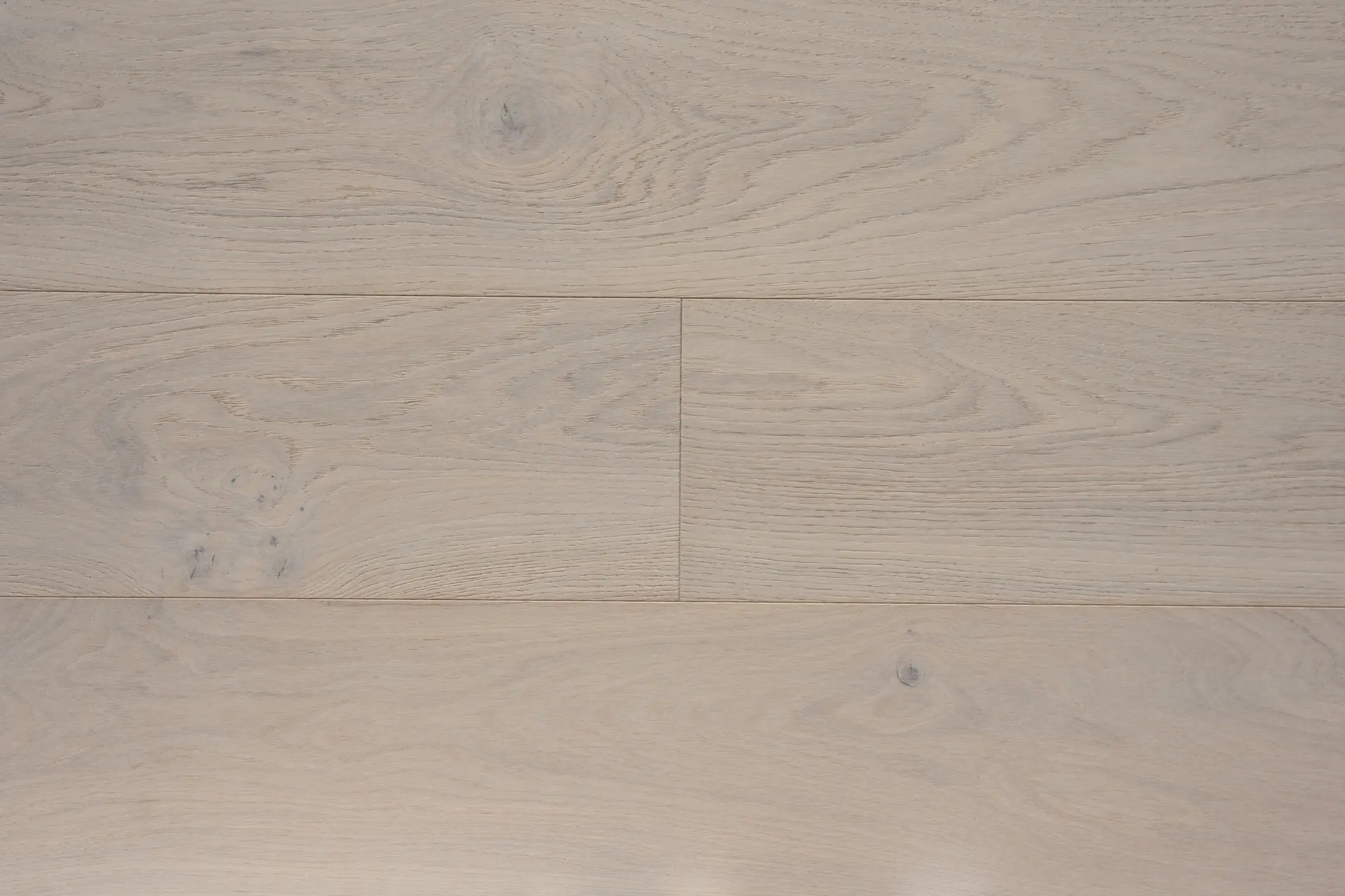 MAX_ProTrade_ENG_OAK