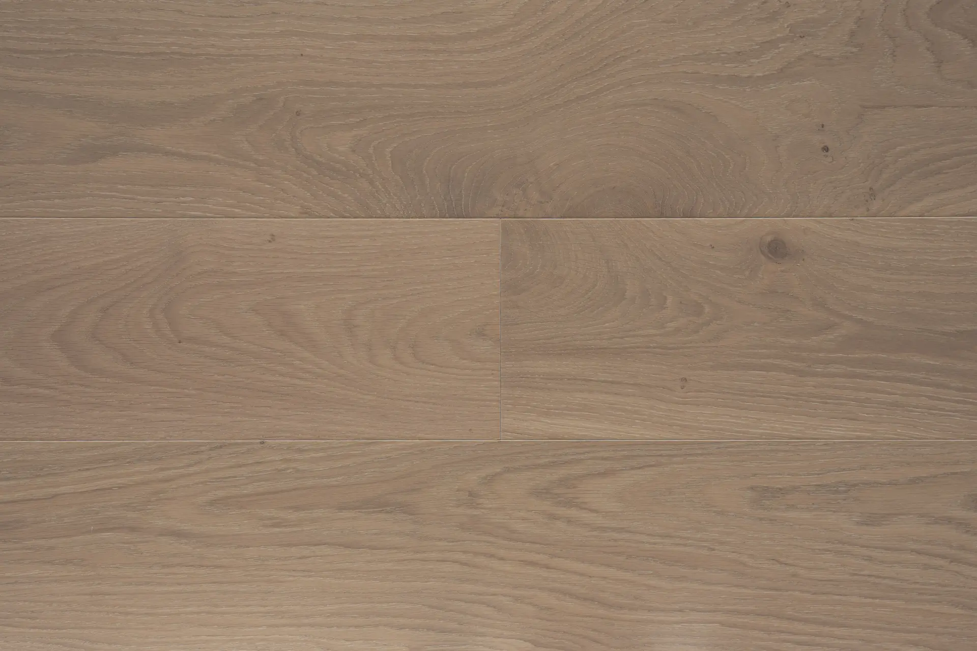 MAX_ProTrade_ENG_OAK