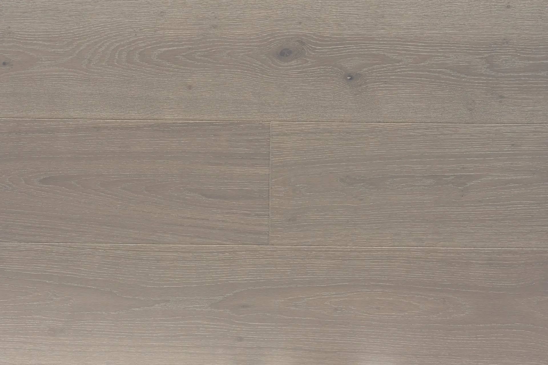MAX_ProTrade_ENG_OAK