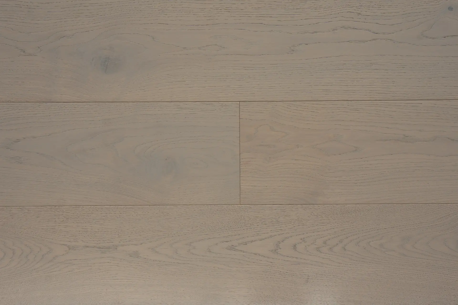 MAX_ProTrade_ENG_OAK