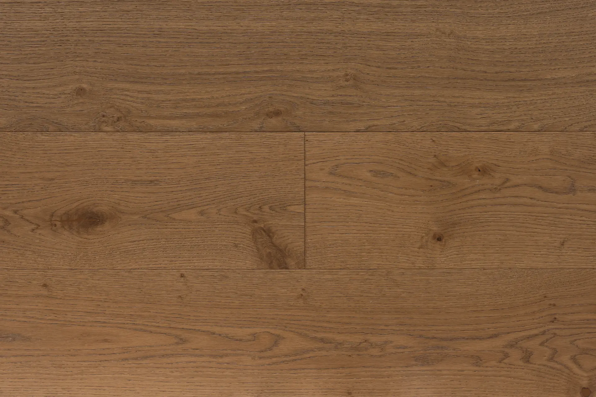 MAX_ProTrade_ENG_OAK