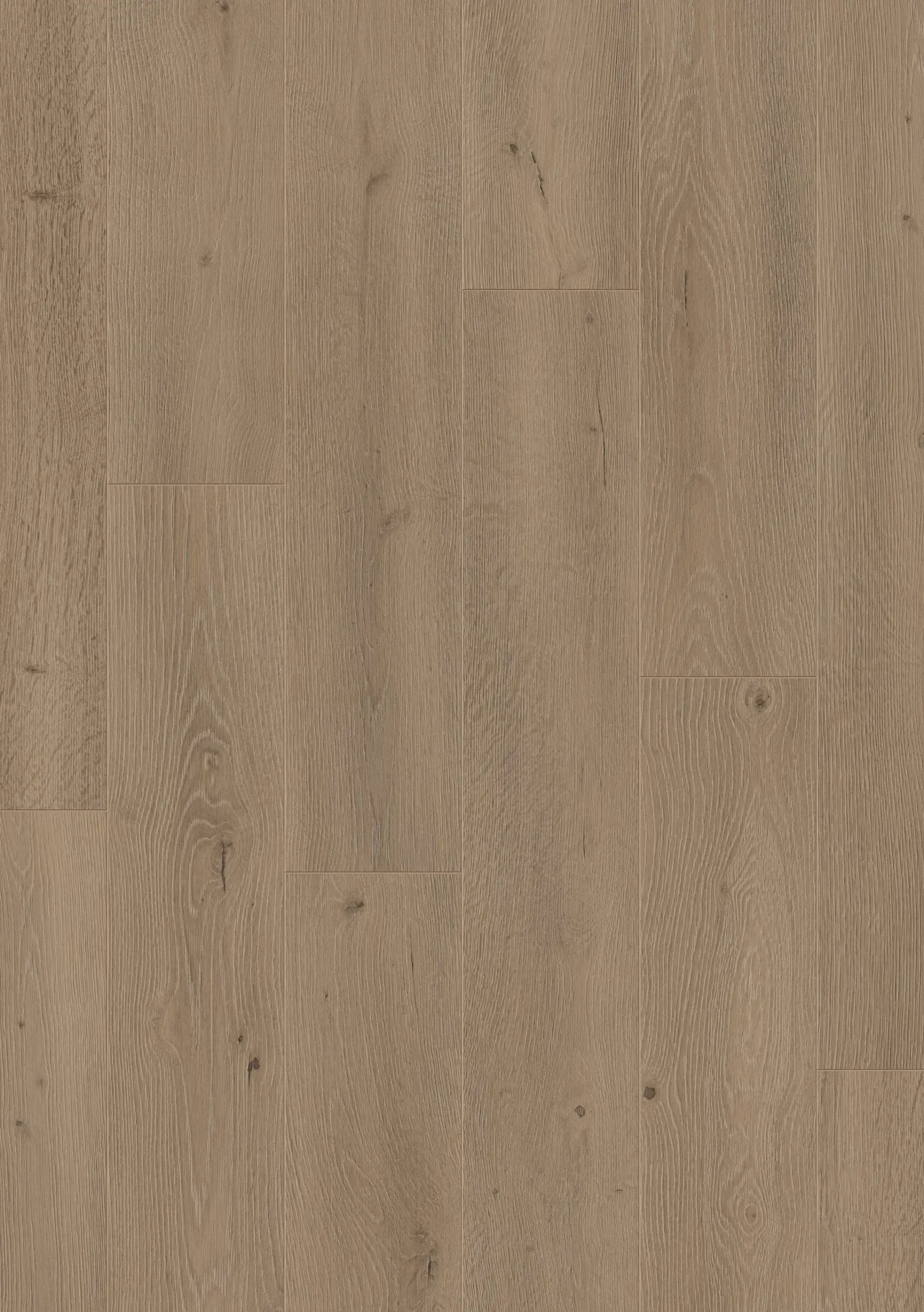 Washed-Oak-NL103