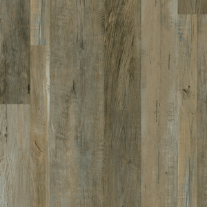 colosseum-painted-oak