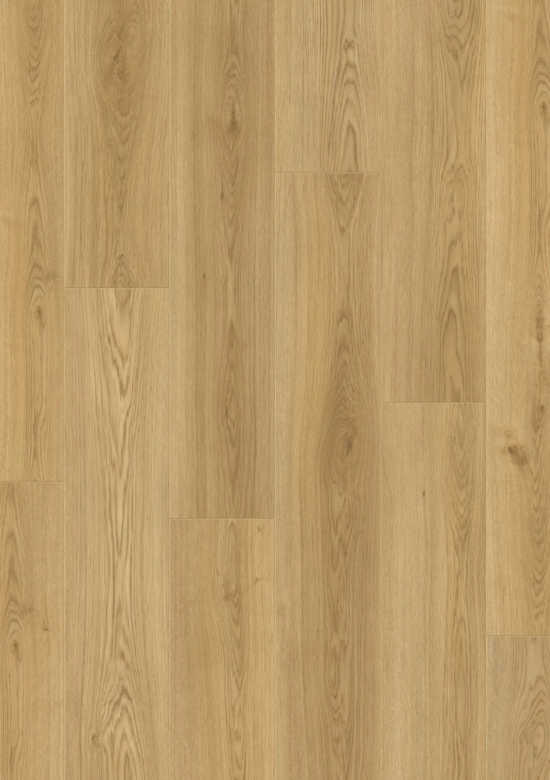 native-Oak-NL